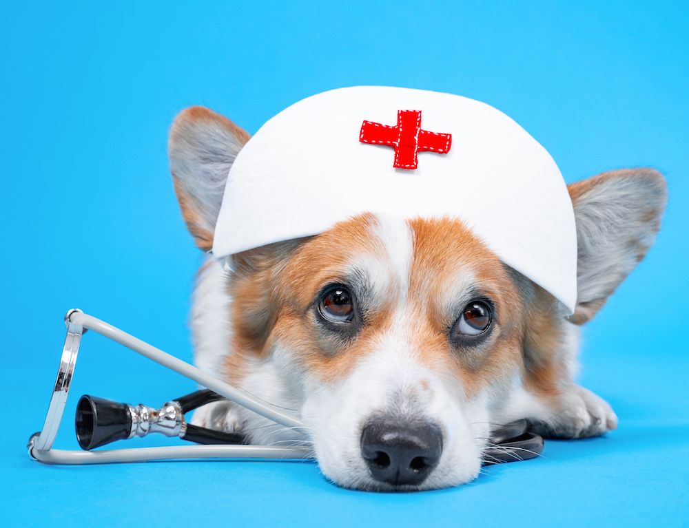 Question of the Week